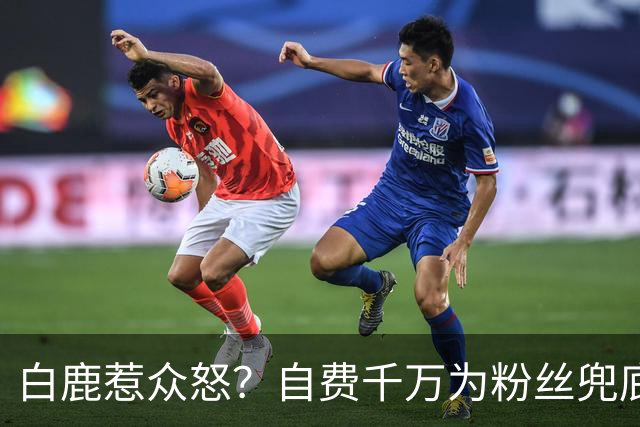 白鹿惹众怒？自费千万为粉丝兜底遭围攻，看清内幕才知她有多清醒